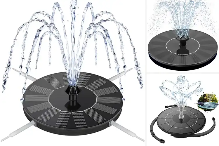Detailed view of Best Bird Bath Fountains: 10 Picks to Transform Your Garden