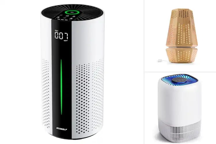 Detailed view of Best Eco-Friendly Air Purifiers