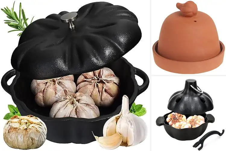 Detailed view of Best Garlic Roasters