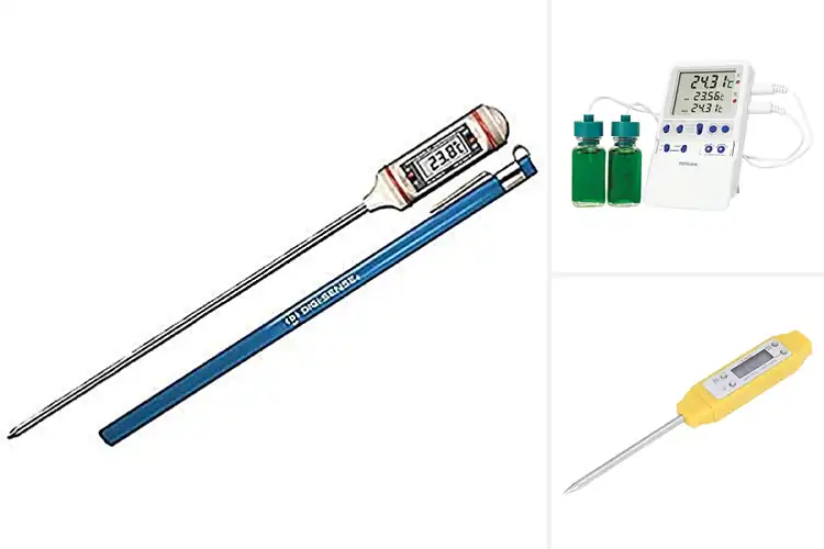 Detailed view of Best High-Accuracy Thermometers