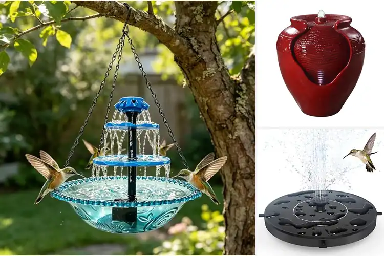 Detailed view of Best Hummingbird Fountains