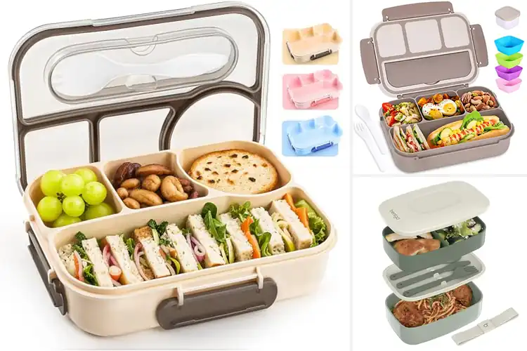 Detailed view of Best Lightweight Lunch Boxes: Top 10 Fresh Picks