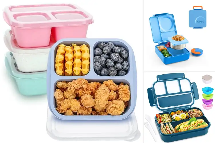 Detailed view of Best Lunch Containers For Kids: Top 10 Fresh & Safe Picks