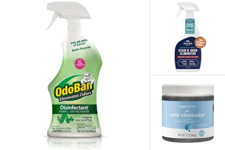 Detailed view of Best Odor Removing Cleaners