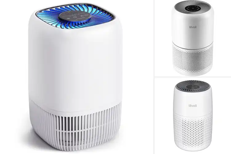 Detailed view of Best Pet-Friendly Air Purifiers: Top 10 for a Fresher Home