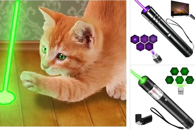 Detailed view of Best Pet Laser Pointers