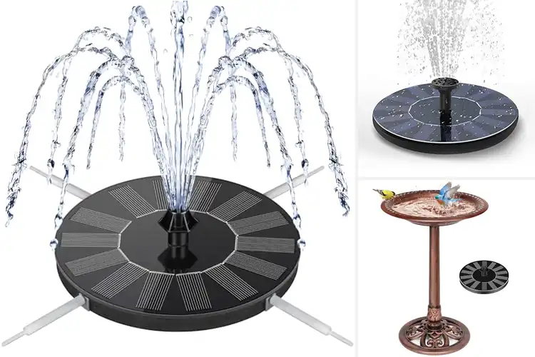 Detailed view of Best Solar Bird Baths