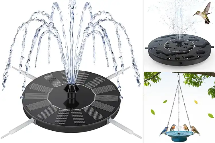 Detailed view of Best Solar Birdbath Fountains For Hummingbirds