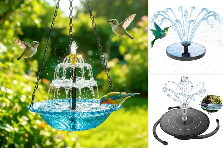 Detailed view of Best Solar Fountains For Hummingbirds