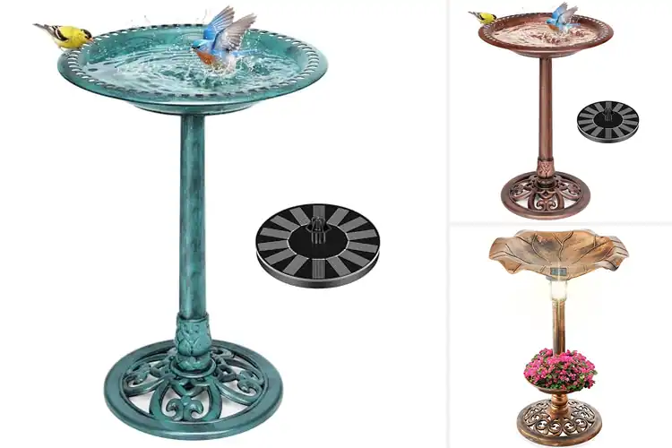 Detailed view of Best Solar Powered Bird Baths