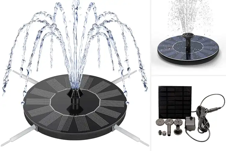 Detailed view of Best Solar Water Pumps: Top 10 Eco-Friendly Picks
